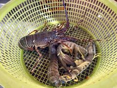 -拉威海鲜市场