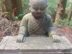 -武陵山森林公园