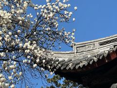 -龙华寺