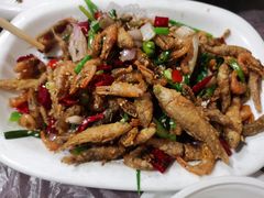 -小杨酒家(华苑小区店)