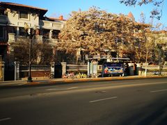 -天津五大道文化旅游区