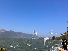 -海埂大坝