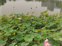 -西海子公园