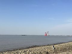 -上海滨江森林公园