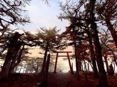 -富士山吉田線五合目