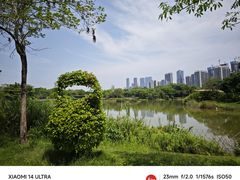 -福田红树林生态公园