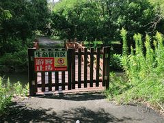 -东平国家森林公园