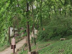 -苏州上方山国家森林公园