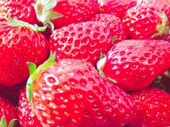 -东华大学第一食堂(松江校区店)