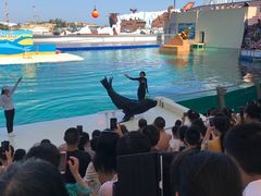 -秦皇岛乐岛海洋王国