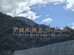 -牛背梁国家森林公园
