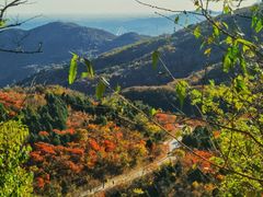 -北京西山国家森林公园