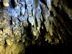 -怀托摩萤火虫洞