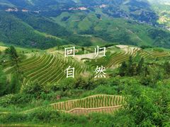 -龙脊梯田