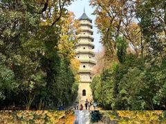 -灵谷景区