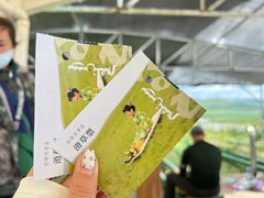 -186彩带河