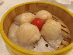 -潮江春(阳光店)