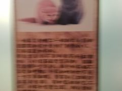 -猫咪博物馆(顶澳仔猫街店)