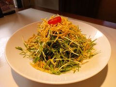 捞汁空心菜苗-打酱油·非遗淮扬菜(瘦西湖梅岭店)