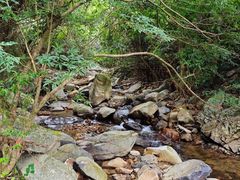 -梧桐山风景名胜区