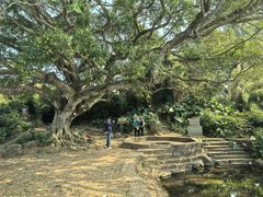 -硇洲岛旅游区