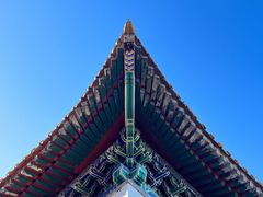 -颐和园