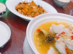-邵年鸽(杨庄店)