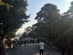 -海珠湖公园