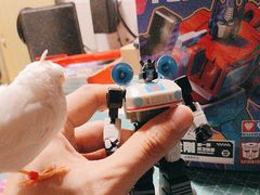 -TOYSRUS玩具反斗城(成都环球中心店)