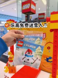 -乐高授权专卖店(朝阳大悦城店)