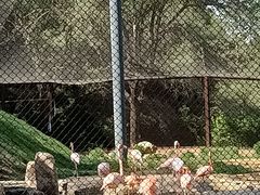 -沈阳森林动物园