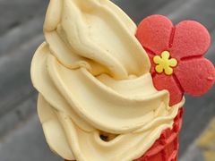 -麦当劳(农光里店)