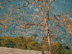 -楠溪江风景名胜区