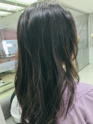 -镁连社·美联社