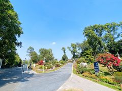 -东莞植物园