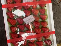 -西郊国际农产品交易中心