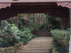 -杭州半山国家森林公园