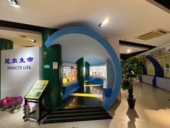 -上海昆虫博物馆