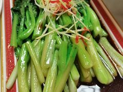 -津津乐乐