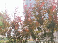 -紫峰大厦