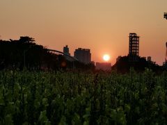 -海心沙亚运公园