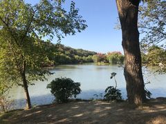 -秦之味·陕西特色面馆(北门外大街店)