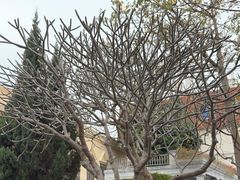 -鼓浪屿风景名胜区-英国领事馆旧址