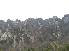 -王顺山国家森林公园