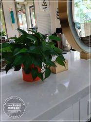 -SY水源护肤造型