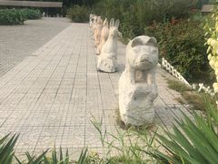 -白洋淀景区