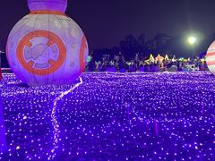 -广西壮族自治区药用植物园