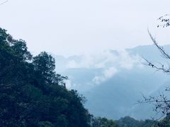 -塔云山