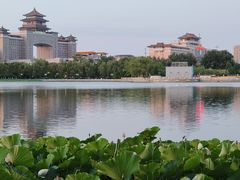 -莲花池公园