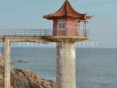 -小麦岛公园